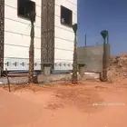 اشجار زيتون وحمضيات ونخل عربي ووشنطني