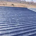 سوداني راعي غنم وبسوق وايت
