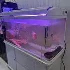 احواض اسماك للبيع جيبو