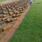ثيل طبيعي