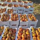 مشروع استثمارى متميز للمشاركة