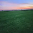 إنجيلة سي الفين طبيعي وخلاب