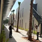 يوجد لدينا نخل واشنطني زينه بكل المقاسات وبسعار مناسبه