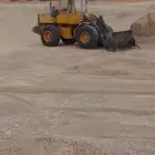 شول فلفولبيع