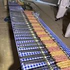 معلم شوي خارجي الرياض وماحولها