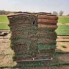 تيل طبيعي سي