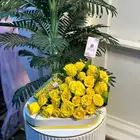 مندوب هدايا جده