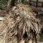 سعف النخيل الربطه 3 ريال