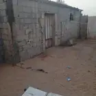 حوش غنم للايجار