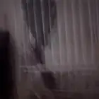 كنيور أليف وعنده كلام