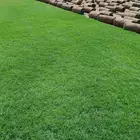 ثيل طبيعي سي 2000 درجه اولى صافي ونقي على الشرط شكل جمالي وخ