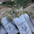 نجم أخضر ناشف للحلال