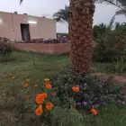 مزرعة جيزان