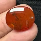 عقيق يماني احمر شجري مجزع