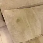 مكنسه بيسيل للايجار