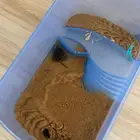سلاحف نهاشه