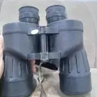 دربيل فوجنن ياباني