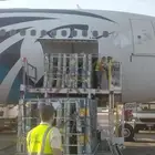 نحل مصري مرزوم