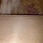 جوز كروان البينو عيون حمر