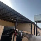 حصان شعبي مهر