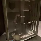 شبك قطط انيق وتصميم شخصي
