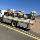 دناء هدروليك لتحميل الابل وغيرها داخل الحناكيه وخارجها