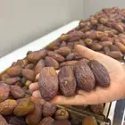 تمر مجدول نوادر