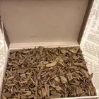 عود موروكي طبيعي فاخر