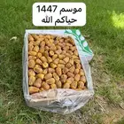 تمر مفتل سكرى