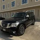 باترول بلاتينييوم 2014