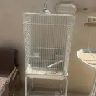 قفص