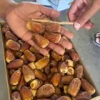 للبيع تمر صقعي حبته كبيره