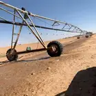 مزارع