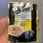 اكل قطط من شيبا