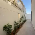 تبوك شقه ارضيه حي الصفا السعر 650 الف