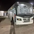 باص 66 راكب جديد 2025 اشوك