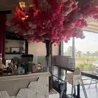 شجرة ساكورا للمطاعم والكوفي شوب