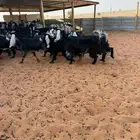 جفرات عوارض