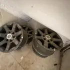 جنوط
