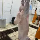 طليان حري ذبايح مناسبات ذبائح ثلاجه يوجد صلخ وتوصيل