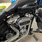 Harley Davidson breakout