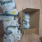 بامبرز رقم 1