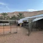 مضلات للبيع