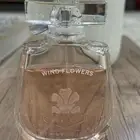 عطورات XXI CLIVE CHRISTIAN و CREED WIND FLOWERS