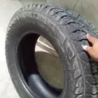 أطارت صخريه