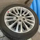 جنوط أفالون