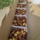 تمر منيفي للبيع