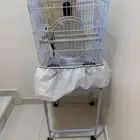 زوجين كروان للبيع