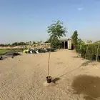 مشاتل مشتل جملة. مشتل زراعي