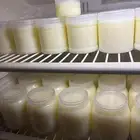 سمن غنم طبيعي بري 100  القصيم